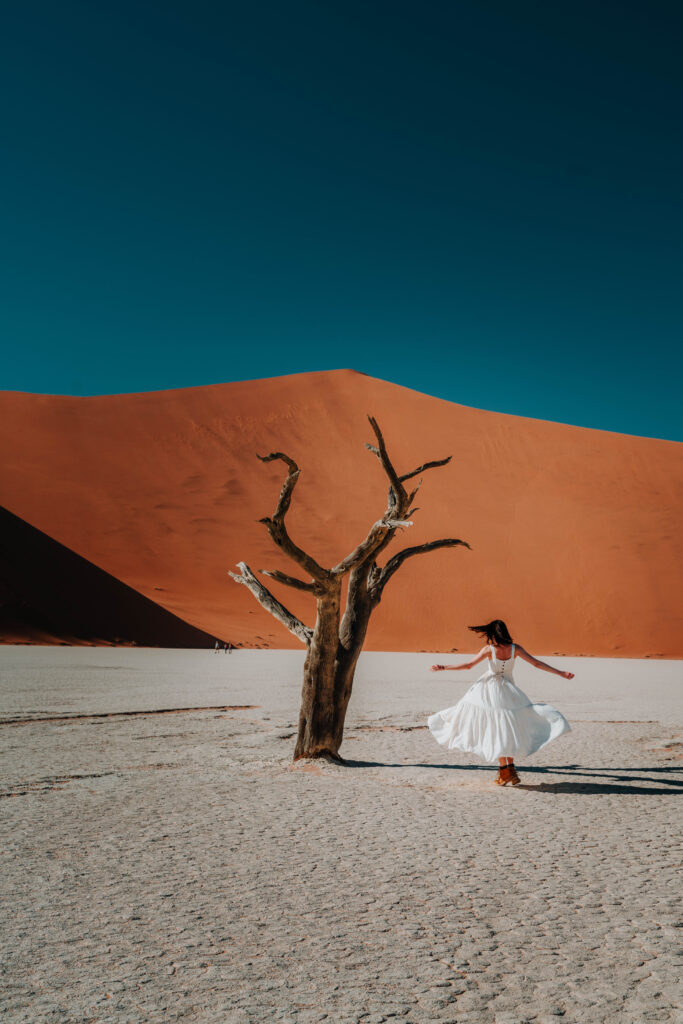 deadvlei in namibia | wander to here