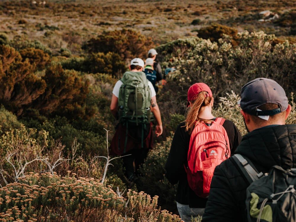 Hikers in cape point
