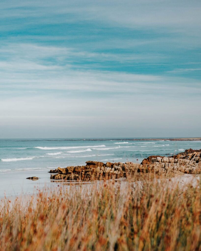 cape point coastal scenery